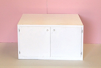 Storage cabinet<br><small>24" x 42" x 24"</small>